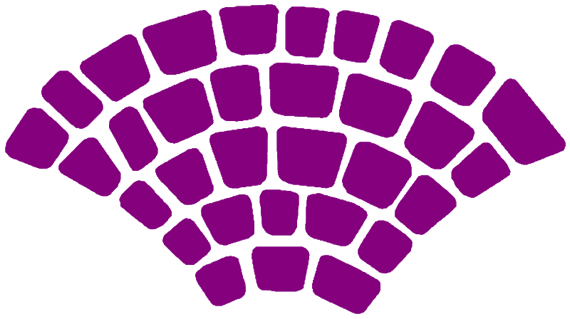 Capture Logo